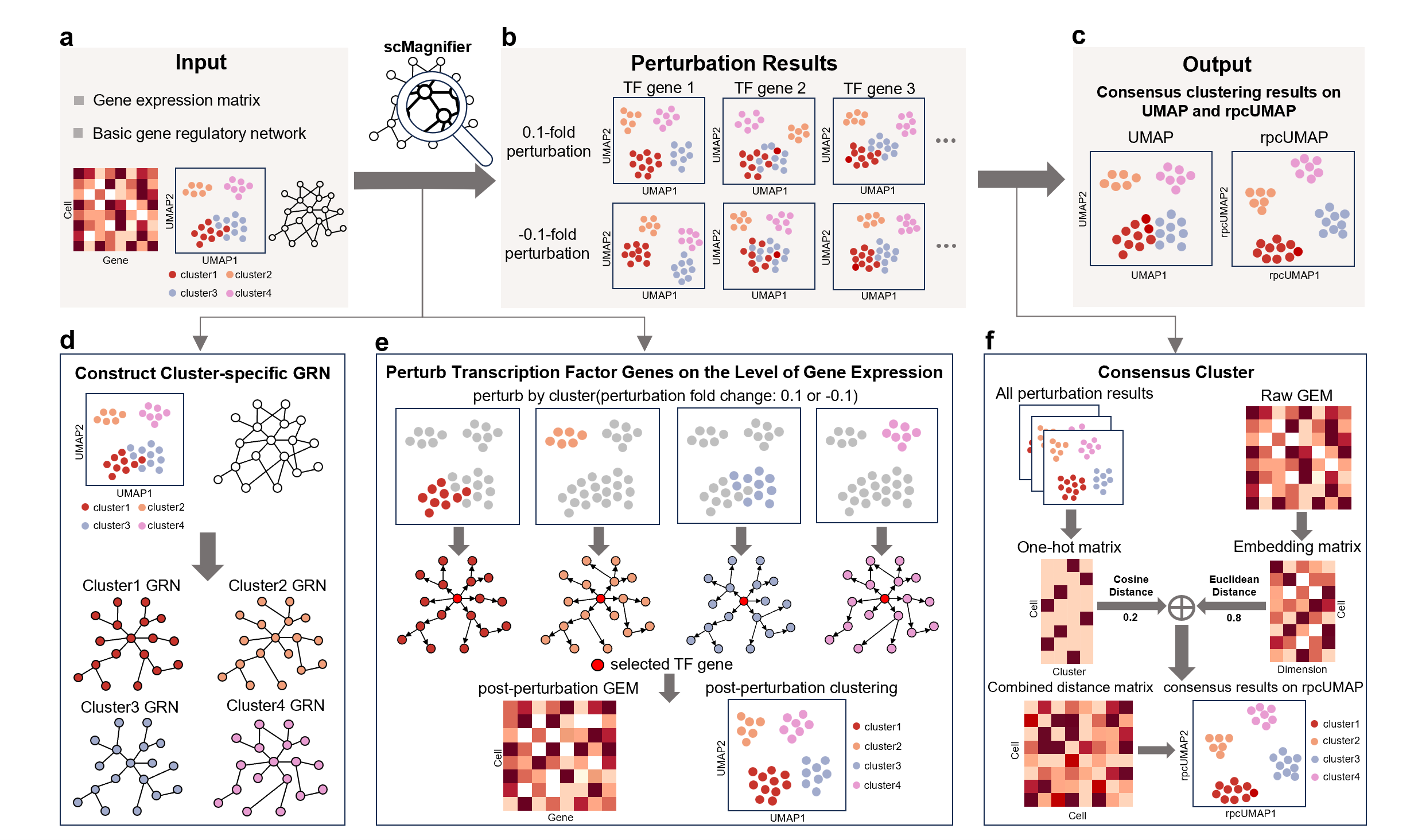 scMagnifier workflow